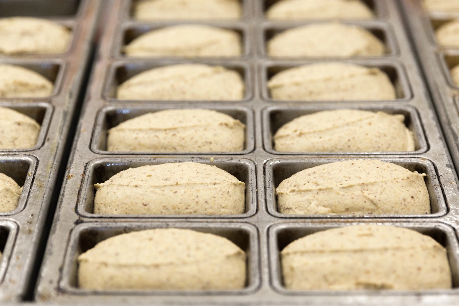 Rows of batter rising in well-worn loaf pans, ready for the oven.